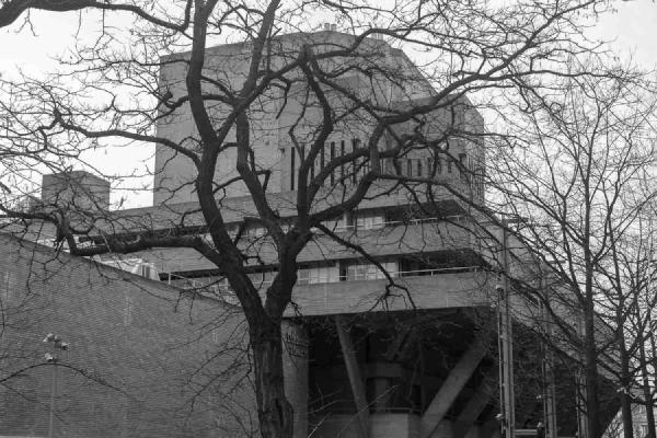 Part of the iconic building designed by Sir Denys Lasdun taken through a tree contrasting the forms of natural growth and human imposition