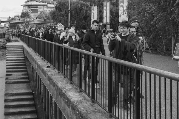Swans stealing the limelight